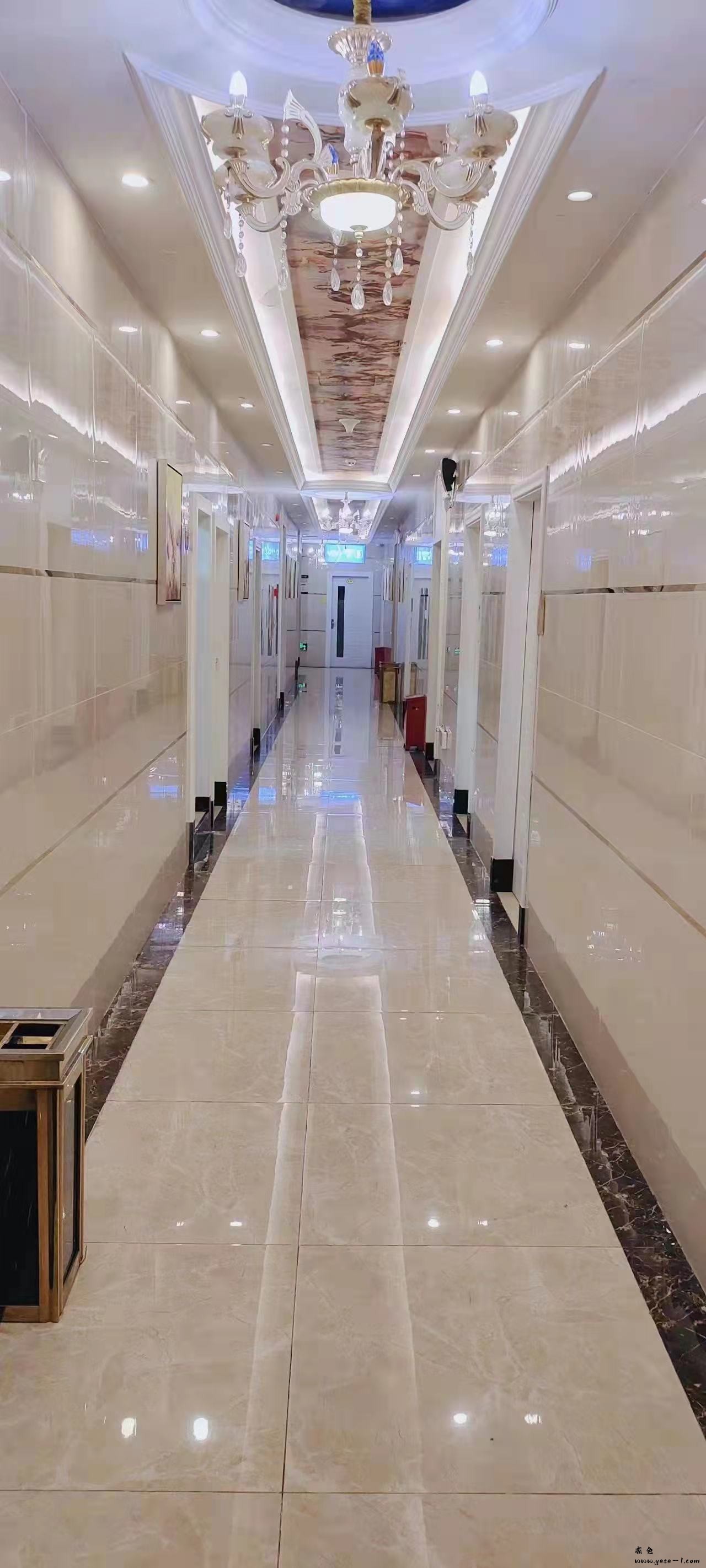 20230305000541ee8dc8255.jpg