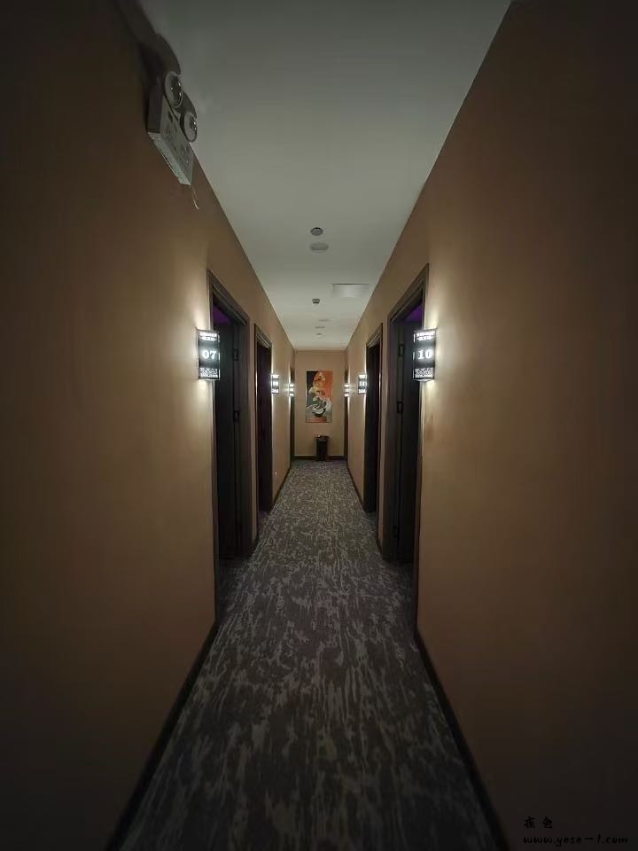 2025031316290493c475160.jpg