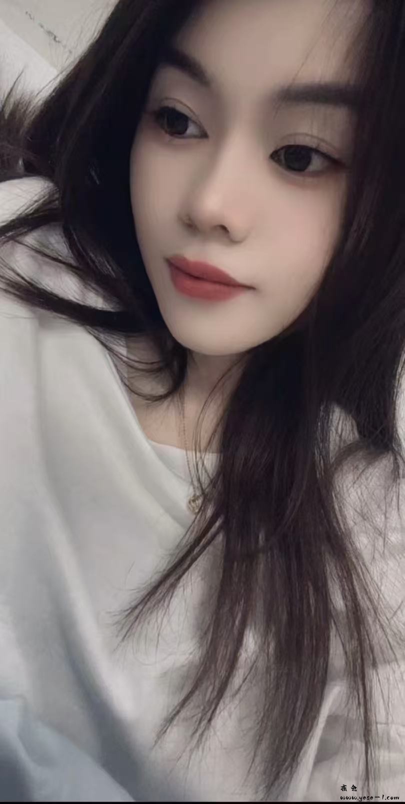 【龙华】紫荆_008.jpeg