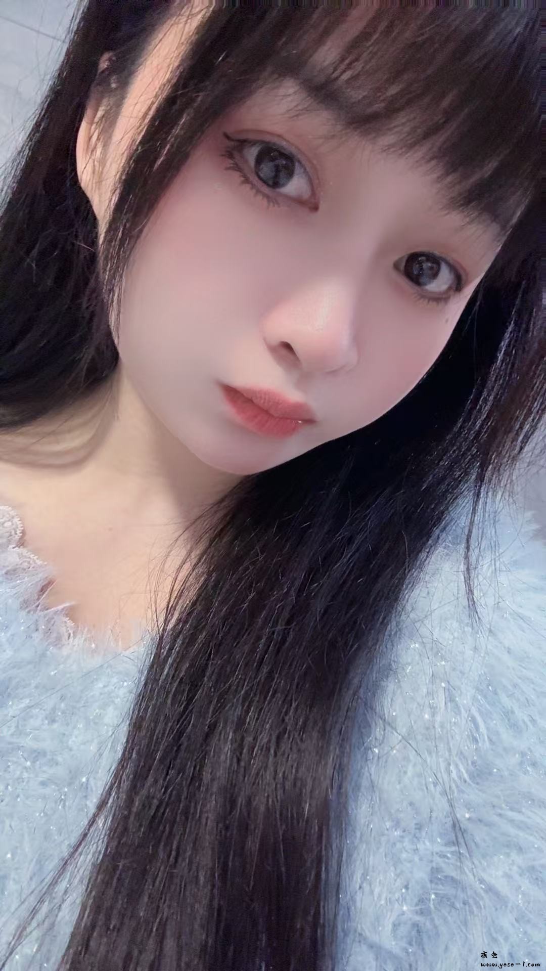 【龙华】紫荆_019.jpeg