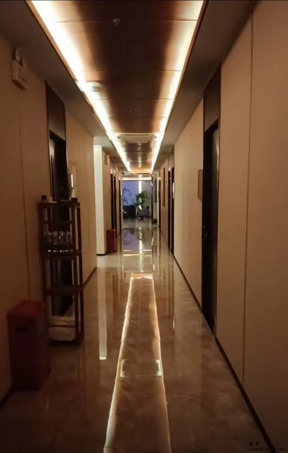 【禅城区】耳道吧_001.jpeg