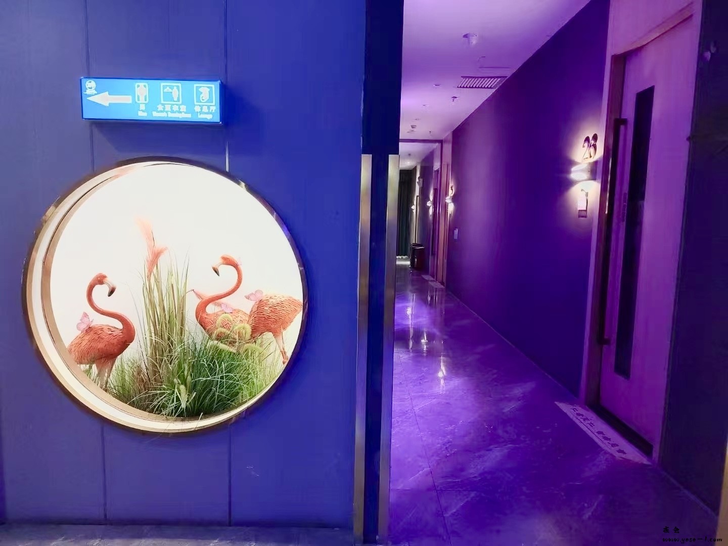 【禅城】足印迹_004.jpeg